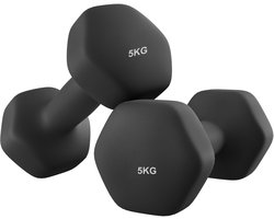 SONGMICS - Dumbells - Dumbells 5 kg - Hexagon Dumbells - 2 x 5 kg - Voor Krachttraining Thuis