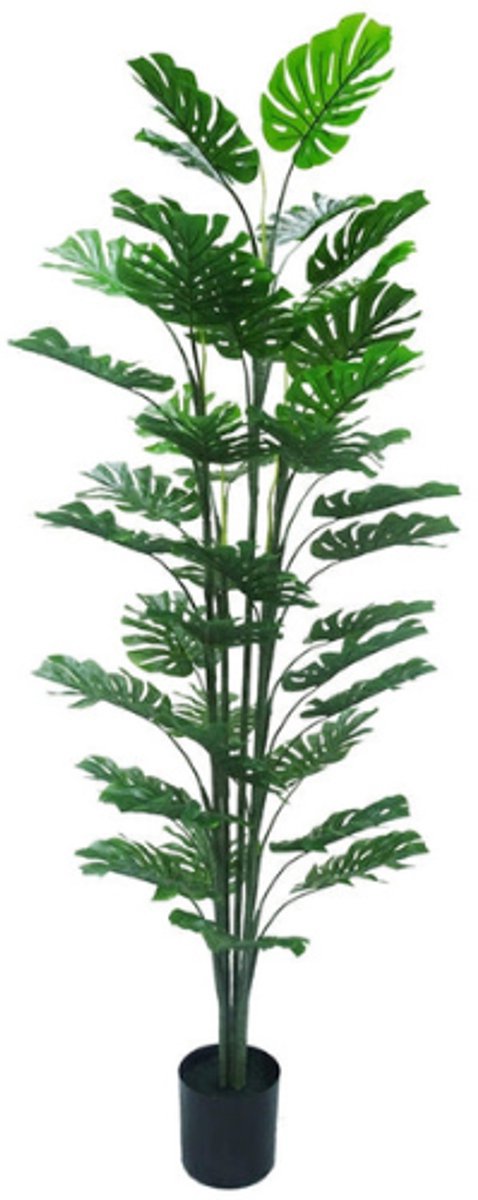 NeverLeafs Monstera kunstplant 180 cm - Tropisch Zuid-Amerika