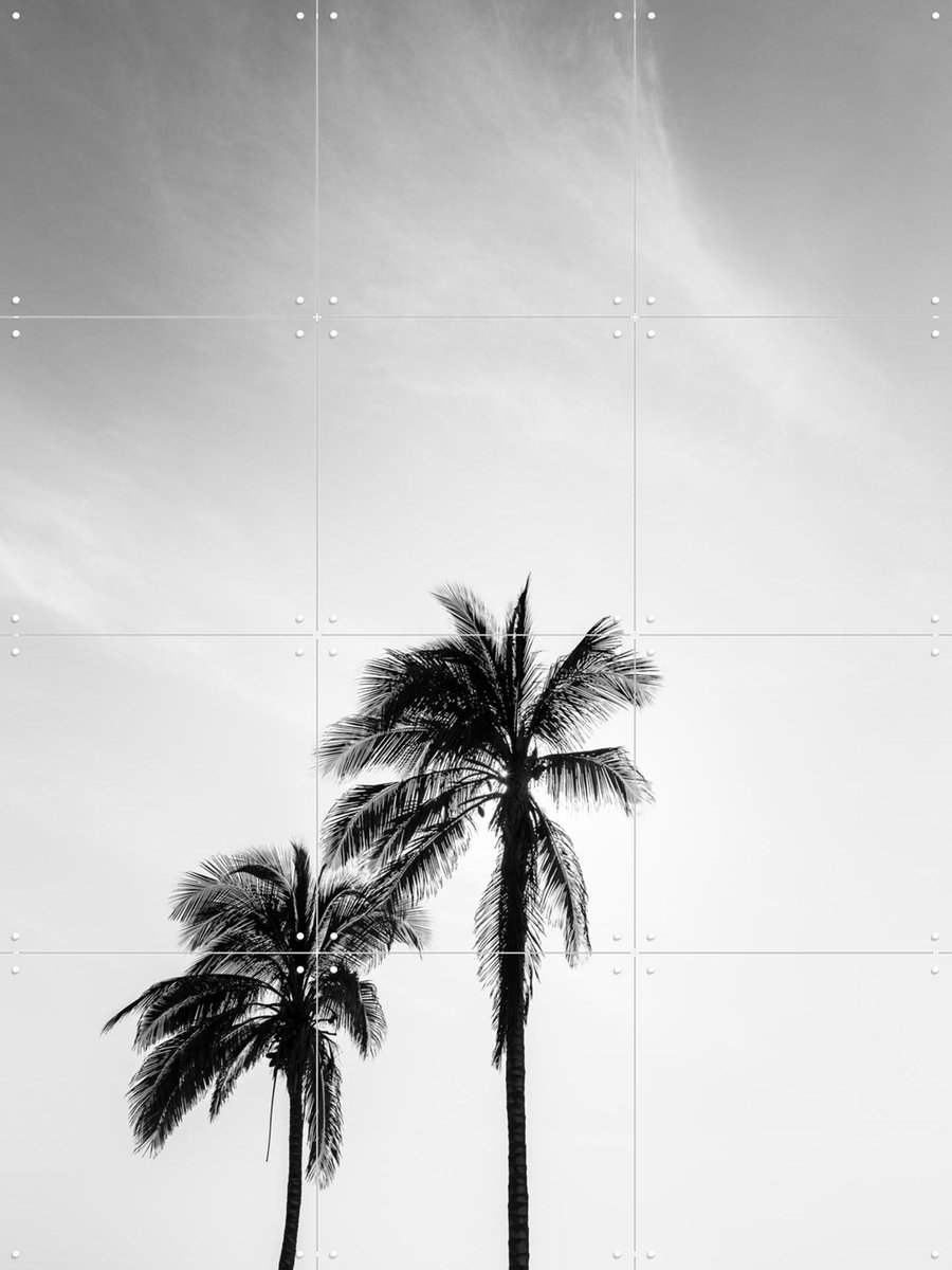 IXXI Palms In The Middle East, Photolovers - 60 x 80 cm - Gratis ophangtool - Grote wanddecoratie en posters - Naturalisme, Minimalisme, Abstract