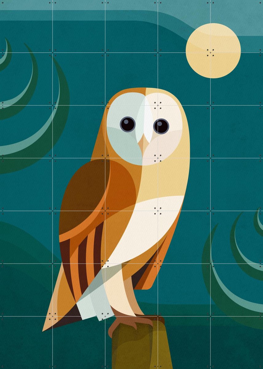 IXXI Uil, Elke Uijtewaal - 100 x 140 cm - Gratis ophangtool - Grote wanddecoratie en posters - Illustraties, Digitale Kunst, Grafisch Ontwerp