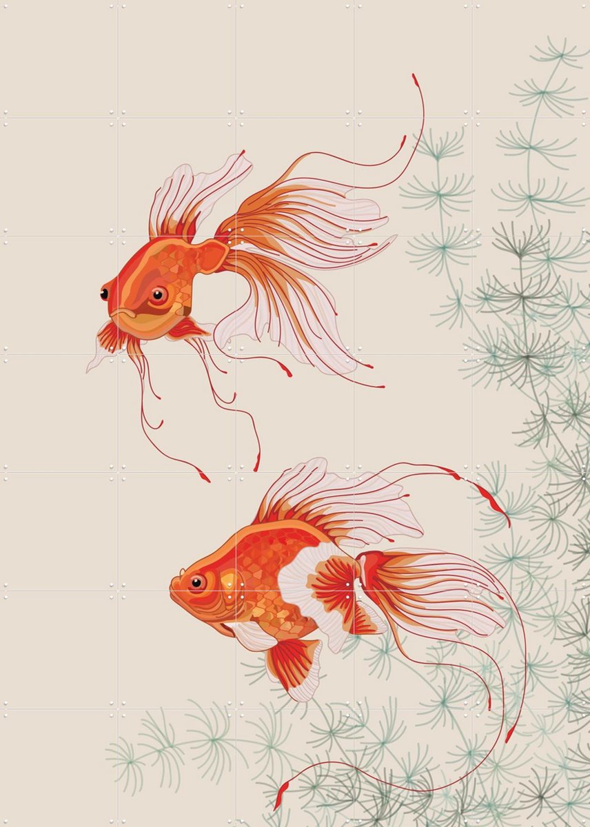 IXXI Twee goudvissen, Lotte Snoek & Rijksmuseum 2.0 - 100 x 140 cm - Gratis ophangtool - Grote wanddecoratie en posters - Illustraties, Digitale