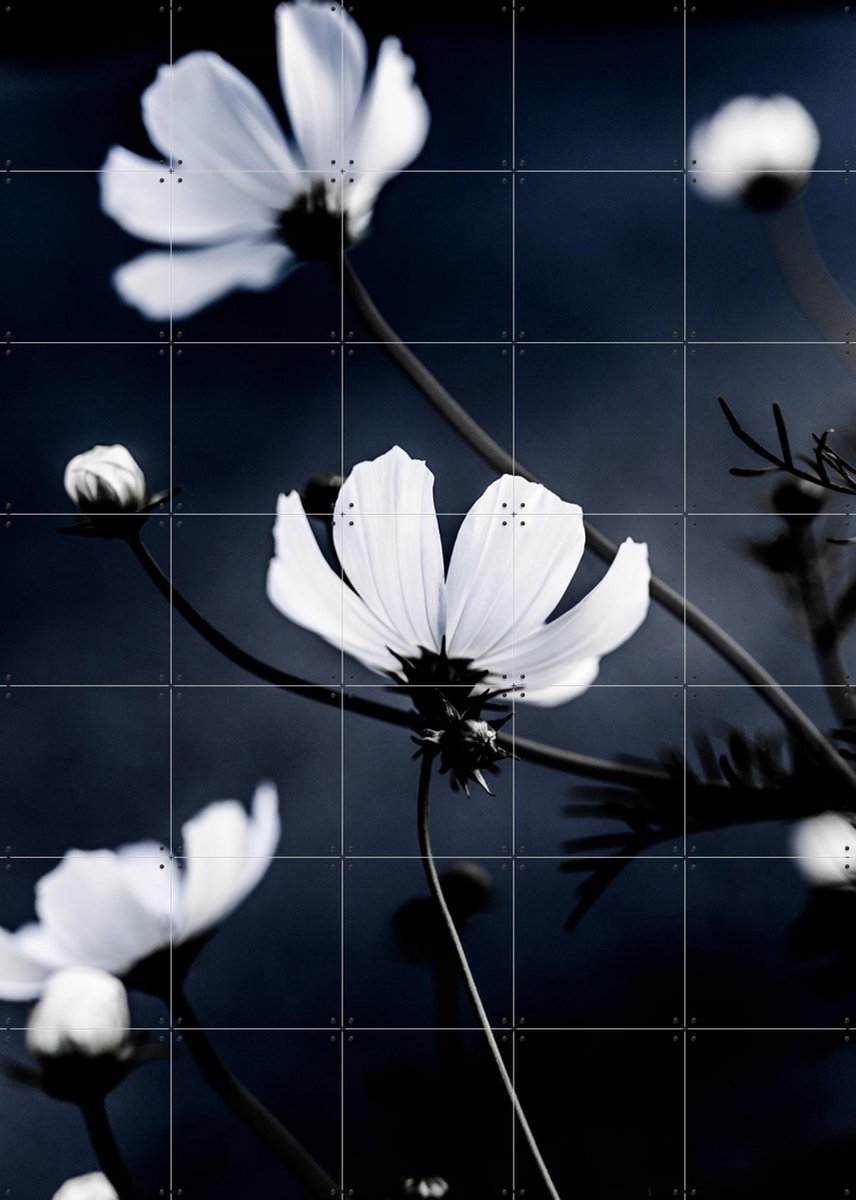 IXXI Wild Flowers, Mareike Böhmer - 100 x 140 cm - Gratis ophangtool - Grote wanddecoratie en posters - Klassiek, Fotografie, Woonkamer, Slaapkamer
