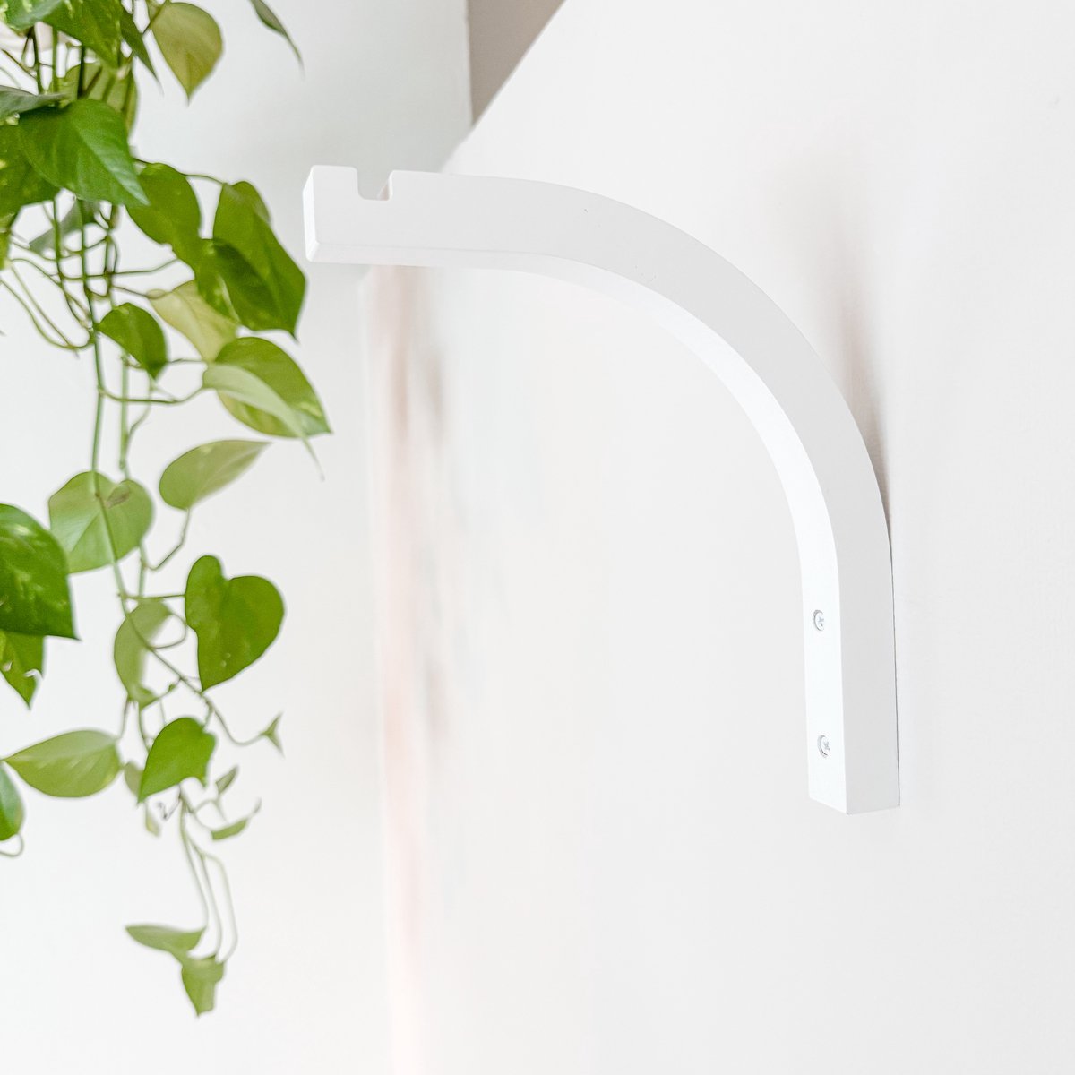 WallWood - Wanddrager hout gebogen - plantenhanger - set van 4 - wit