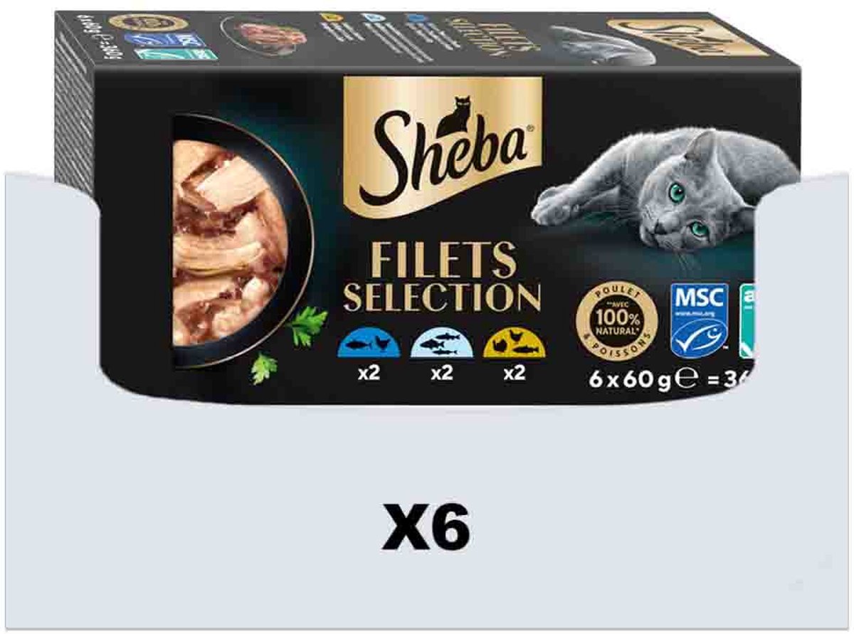 Sheba Sheba Kattenvoer Nat Filets Witte Vis in Saus Multipack - 6 x 6x60 gr - Voordeelverpakking