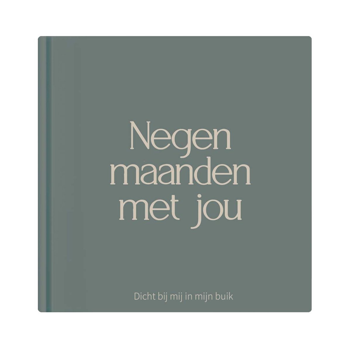Writemoments zwangerschapsdagboek - Negen maanden met jou - Groen