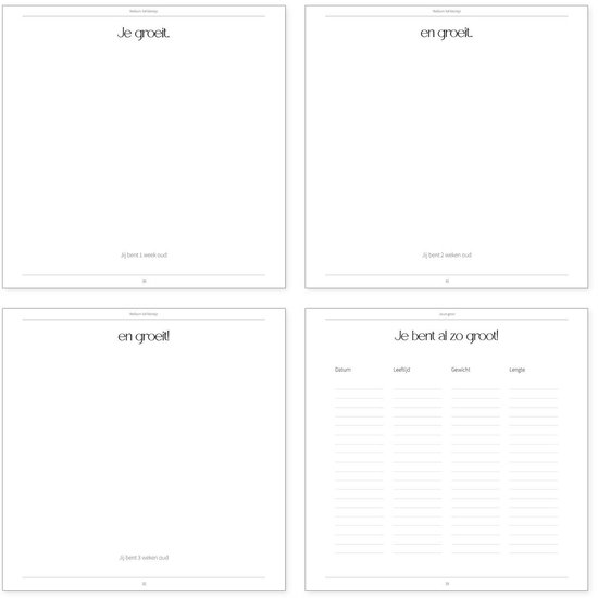 Invulboek met de titels 'Je groeit.', 'en groeit.', 'Je bent al zo groot!'.