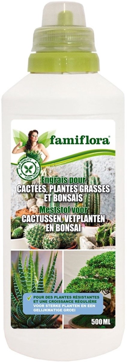 Famiflora vloeibare meststof voor cactussen, vetplanten en bonsai - 0,5L - Sterke planten die minder vatbaar zijn voor stress en ziektes - Gelijkmatige groei voor een mooi gevormde en gezonde plant