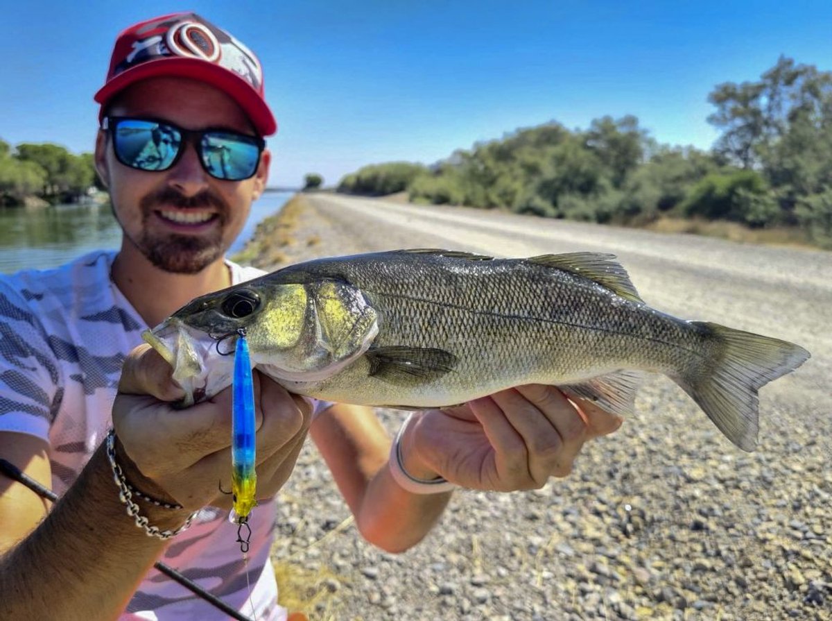 Quantum Q Crank Slim Minnow SR 9.5cm 11.5g (diepte 0-1m) - Kleur : Hot Perch