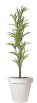 Pro Garden Bloempot - wit - rond - D40 cm - kunststof - plantenpot - tuin buiten