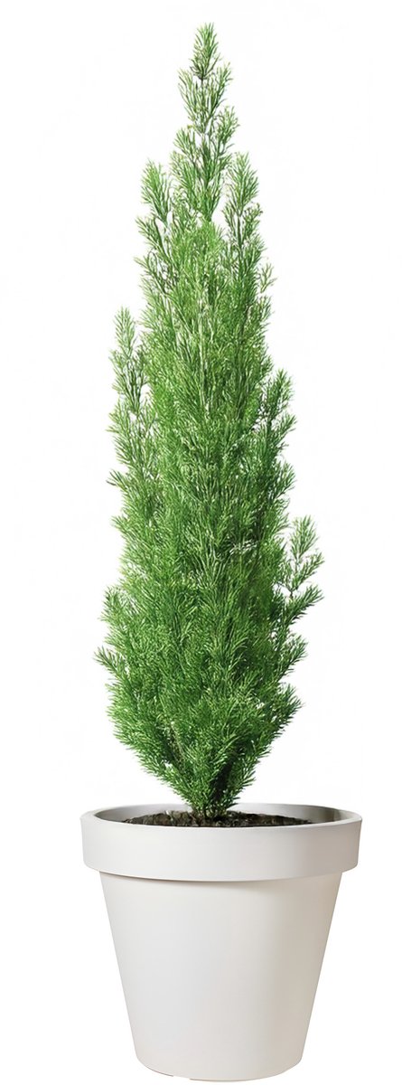 Pro Garden Bloempot - wit - rond - D50 cm - kunststof - plantenpot - tuin buiten