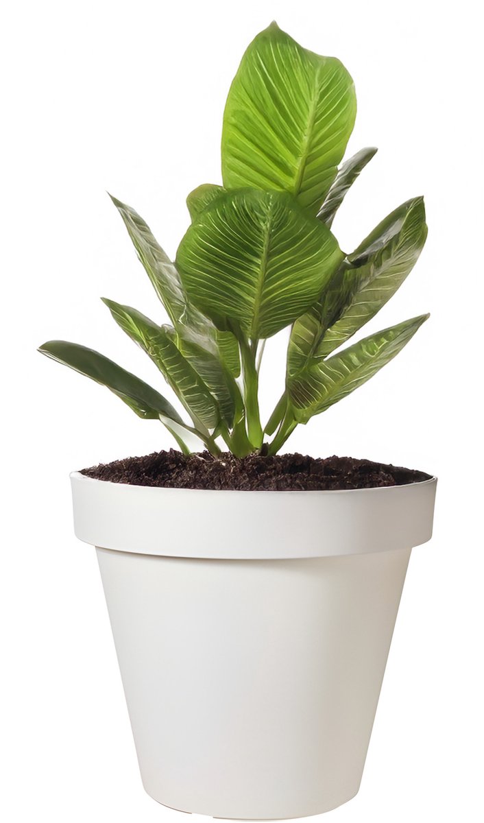 Pro Garden Bloempot - wit - rond - D25 cm - kunststof - plantenpot - tuin buiten