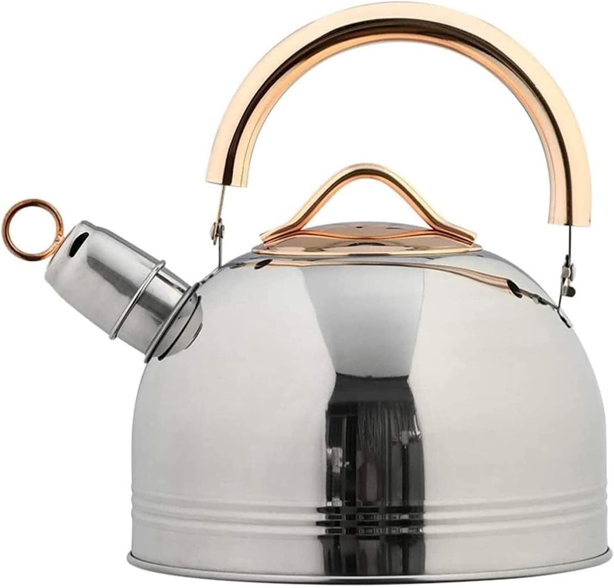 Fluitketel Roestvrijstaal - Waterkoker Theepot - Water Koken - Luid Fluitend Geluid - 3 Liter Inhoud - Blauw