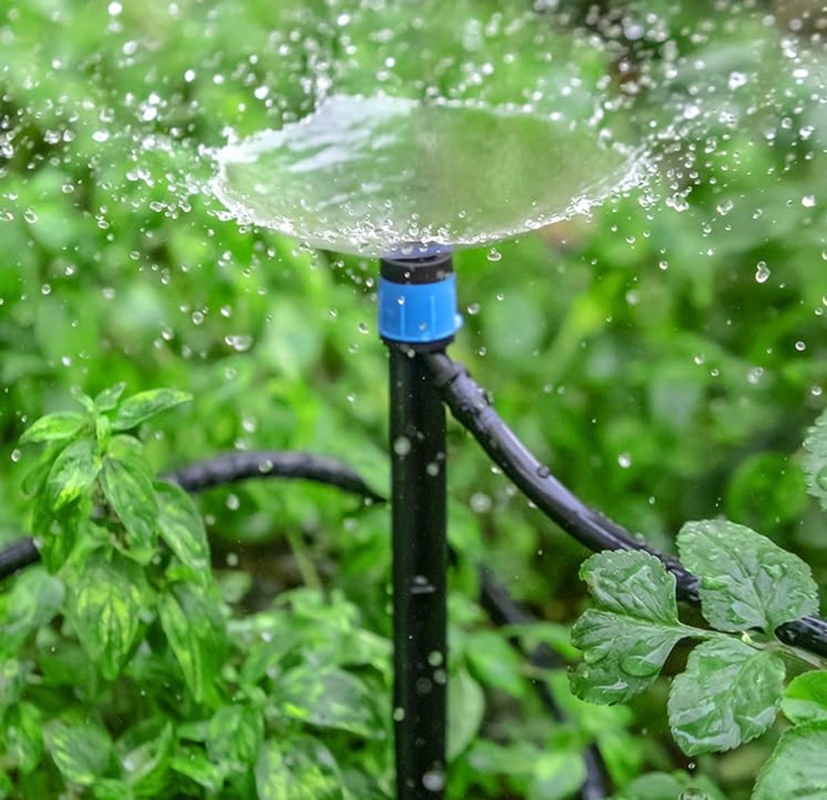 Druppelaars Verstelbaar - 360° Fontein Sprinklers - 18 cm Aarde Stekker - Voor 4mm ID Slang - 50 Stuks - Tuin Irrigatie -Voor Irrigatiesysteem -Tuin Kas
