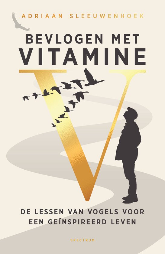 Bevlogen met vitamine V - cover
