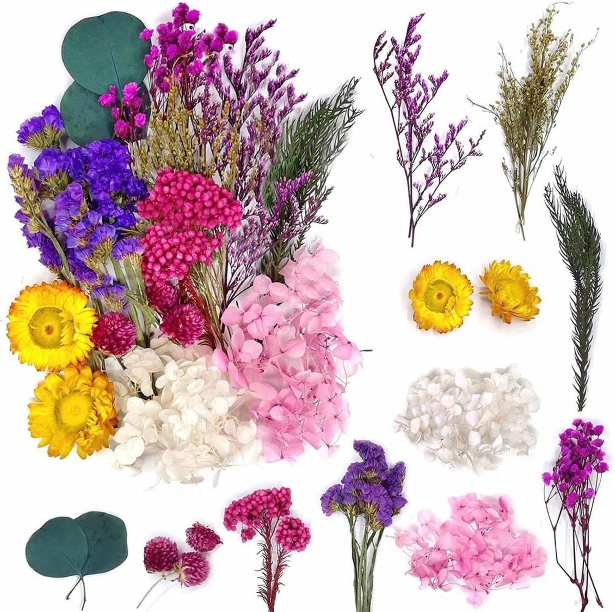 Gedroogde Bloemen Set voor Knutselen, Hars, Scrapbooking en Decoratie - Echte Natuurlijke 