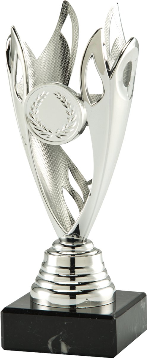 Zilveren trofee - sportprijs - prijs voor jong en oud - 15.5 cm