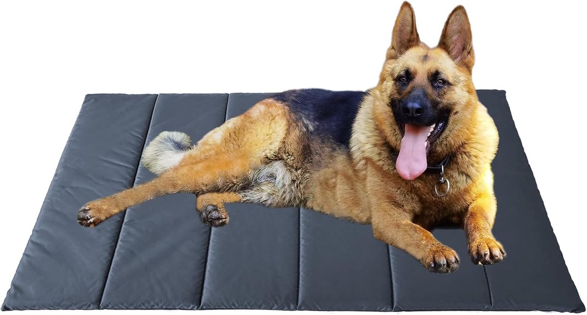 Grote Hondendeken 120x70 cm - Wasbaar & Waterdicht Hondenkussen voor Reizen en Buiten