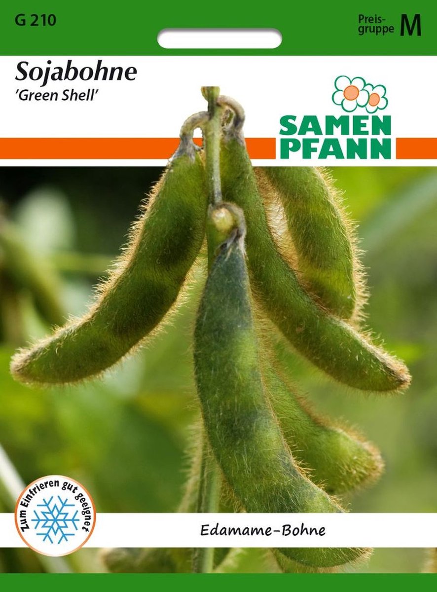 Edamame sojabonen, groene peulbonen - bonenzaden, groentezaden, zaailingen