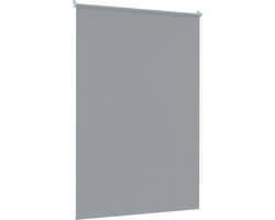 Klemmfix Verduisterend Rolgordijn 120x210cm Zonder Boren Verstelbaar Zijtrekrolluik Voor Raam En Deur Privacy En Zonwering Grijs NAIZY