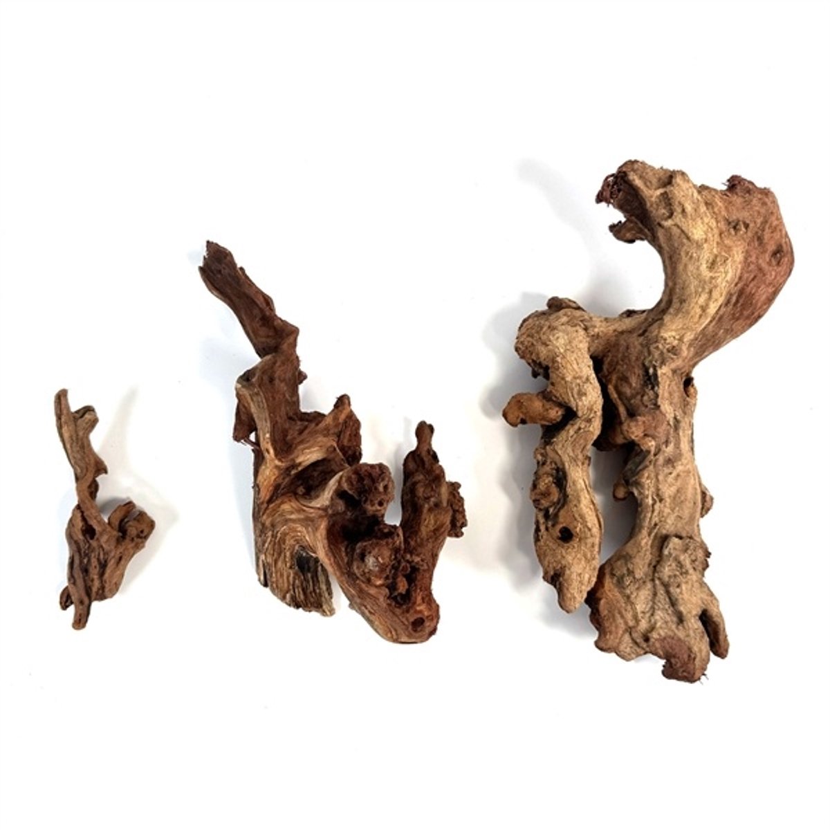 WIO Worn Wood L | 30-50CM