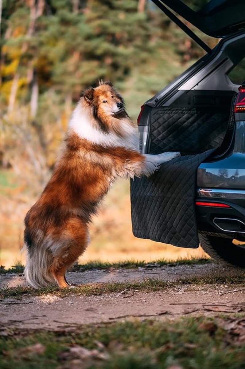 Candala Universele beschermmat voor honden