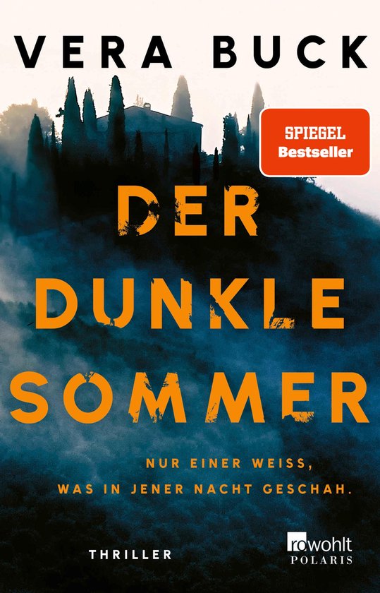Der dunkle Sommer - cover