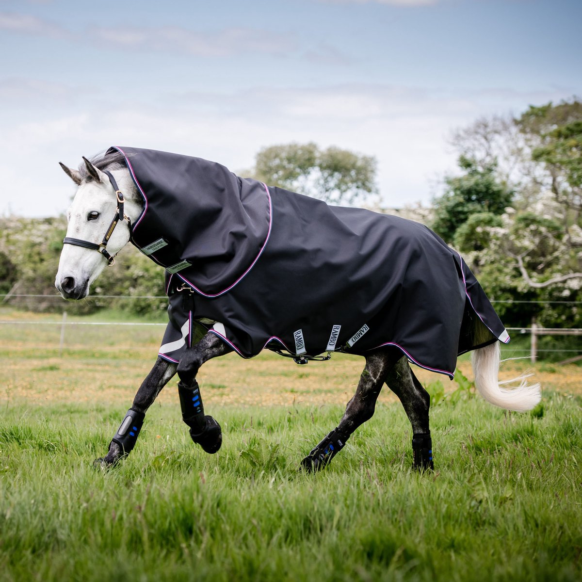 Rambo Supreme Turnout Lite-0 gr.-115-165-Navy