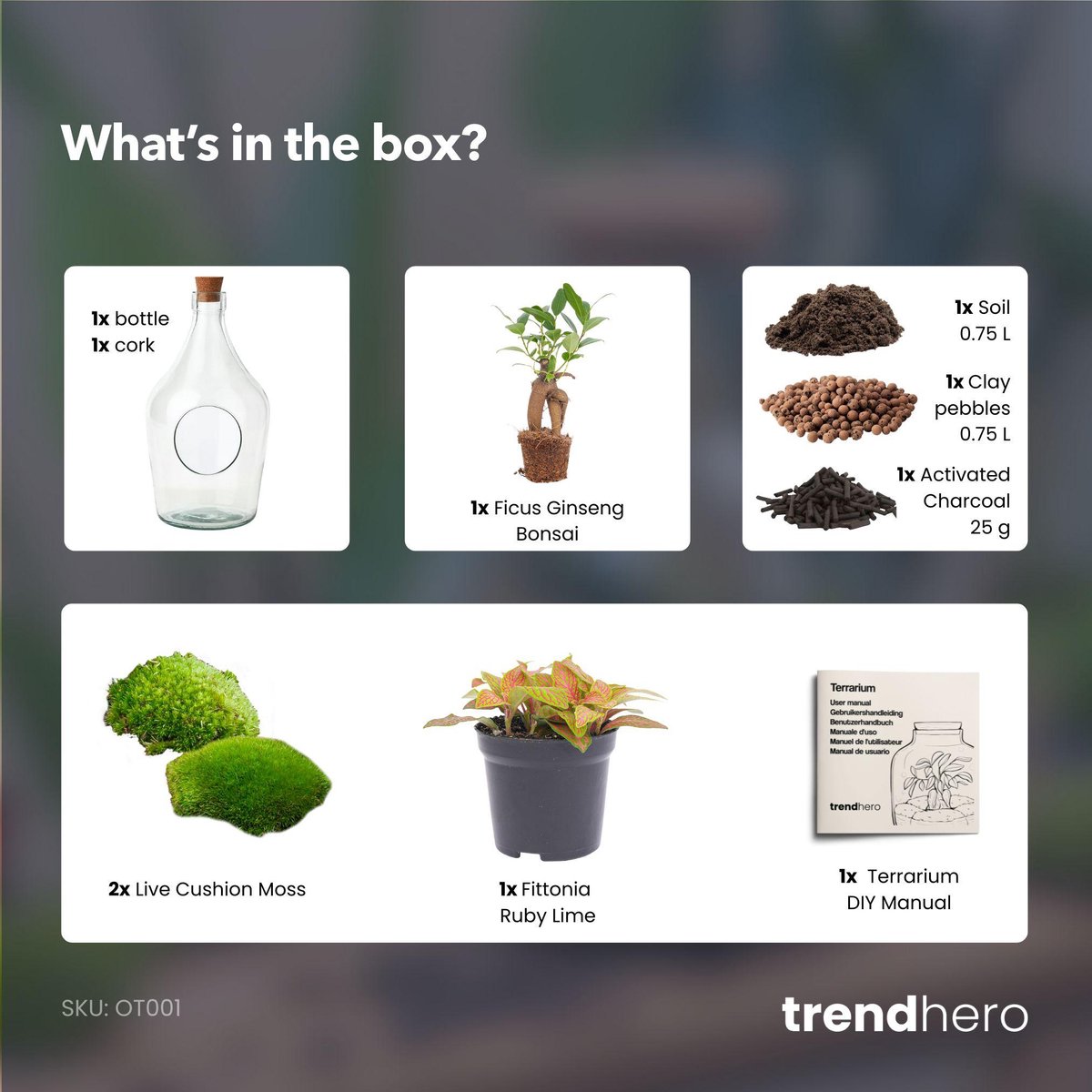 John - Open terrarium met kurk - Flessentuin DIY-kit - Ø 16 cm ↑ 30 cm