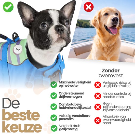 Boston Terriër met groen-blauw zwemvest naast golden retriever zonder zwemvest op boot.
