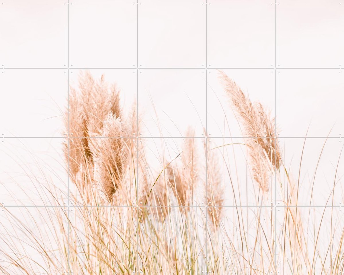 IXXI Pampas Grass, Ingrid Beddoes - 100 x 80 cm - Gratis ophangtool - Grote wanddecoratie en posters - Fotografie, Minimalisme, Slaapkamer, Woonkamer