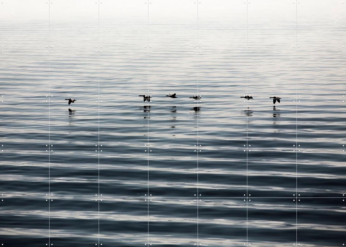 IXXI Waddenislands-Birds Flyover, Claire Droppert - 140 x 100 cm - Gratis ophangtool - Grote wanddecoratie en posters - Naturalisme, Minimalisme