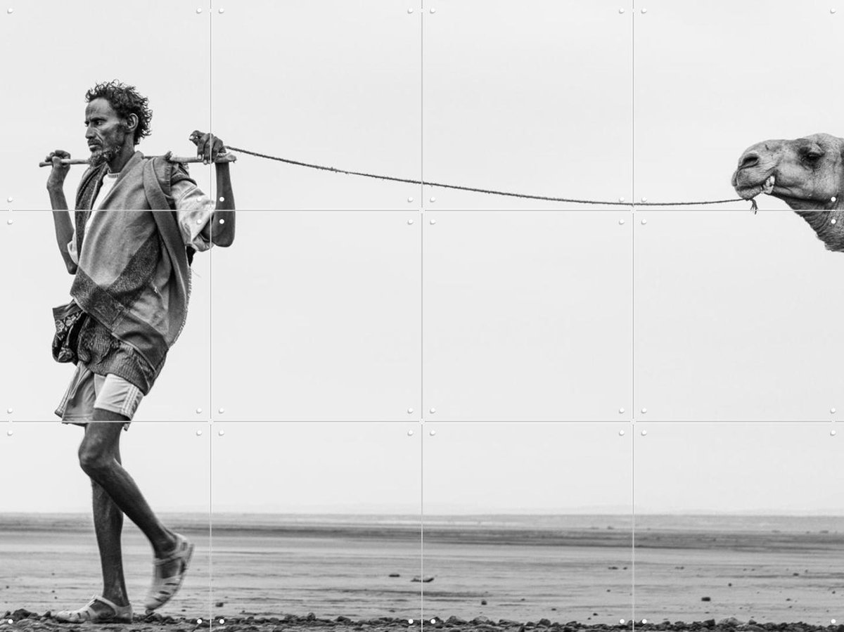 IXXI Man with his Camel, Photolovers - 80 x 60 cm - Gratis ophangtool - Grote wanddecoratie en posters - Fotografie, Woonkamer, Dieren, Landschappen