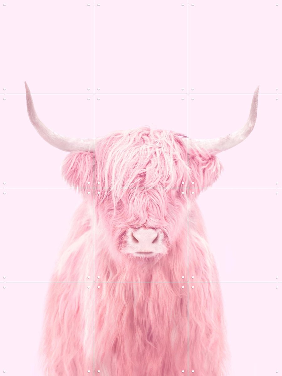 IXXI Highland Cow, Paul Fuentes - 60 x 80 cm - Gratis ophangtool - Grote wanddecoratie en posters - Digitale Kunst, Kleurrijk, Speels, Pop art