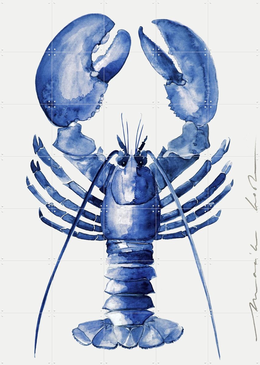 IXXI Lobster - blue, Maaike Koster & My Deer Art Shop - 100 x 140 cm - Gratis ophangtool - Grote wanddecoratie en posters - Realisme, Illustraties