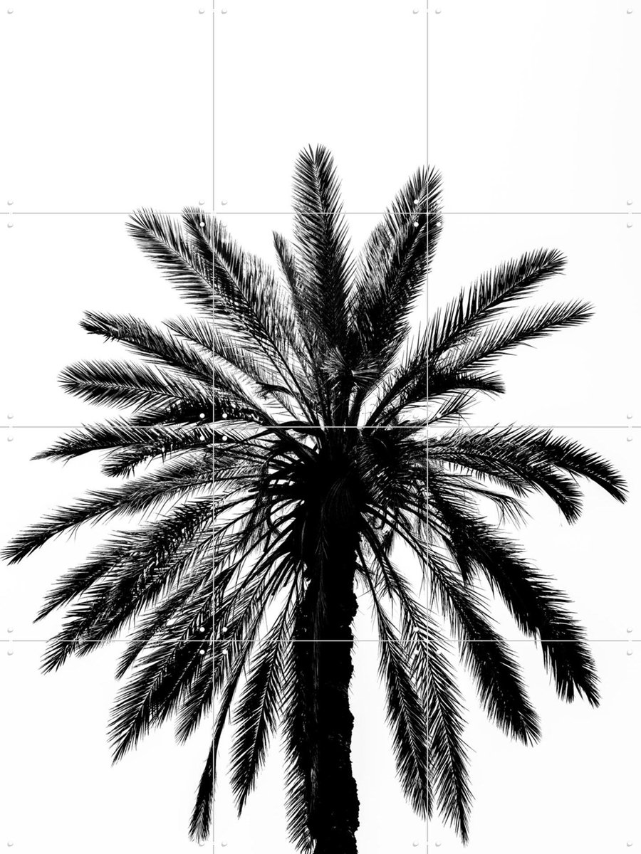 IXXI Palm in Palermo, Photolovers - 60 x 80 cm - Gratis ophangtool - Grote wanddecoratie en posters - Minimalisme, Fotografie, Woonkamer, Slaapkamer