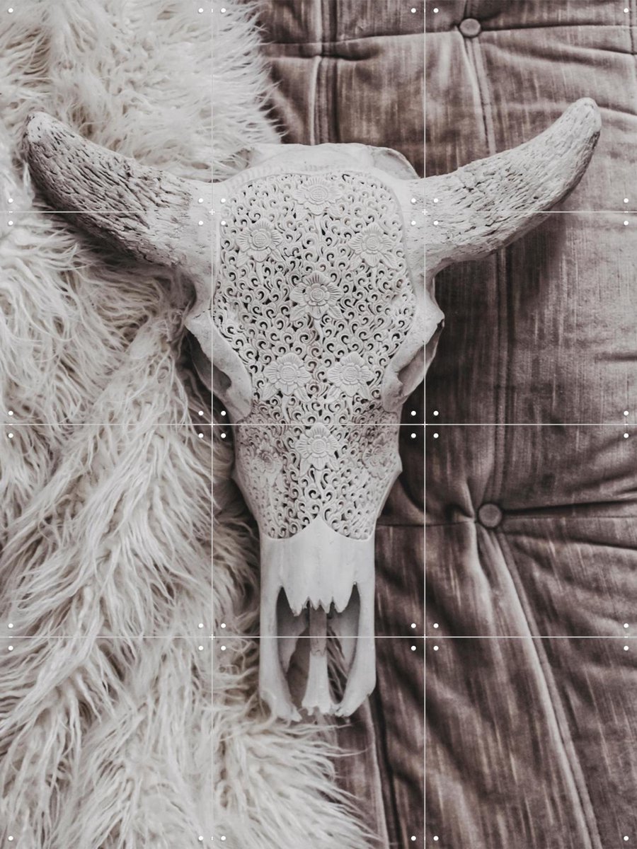 IXXI Velvet and Bone, STUDIO HANNAH LEMHOLT - 60 x 80 cm - Gratis ophangtool - Grote wanddecoratie en posters - Minimalisme, Fotografie, Gemengde