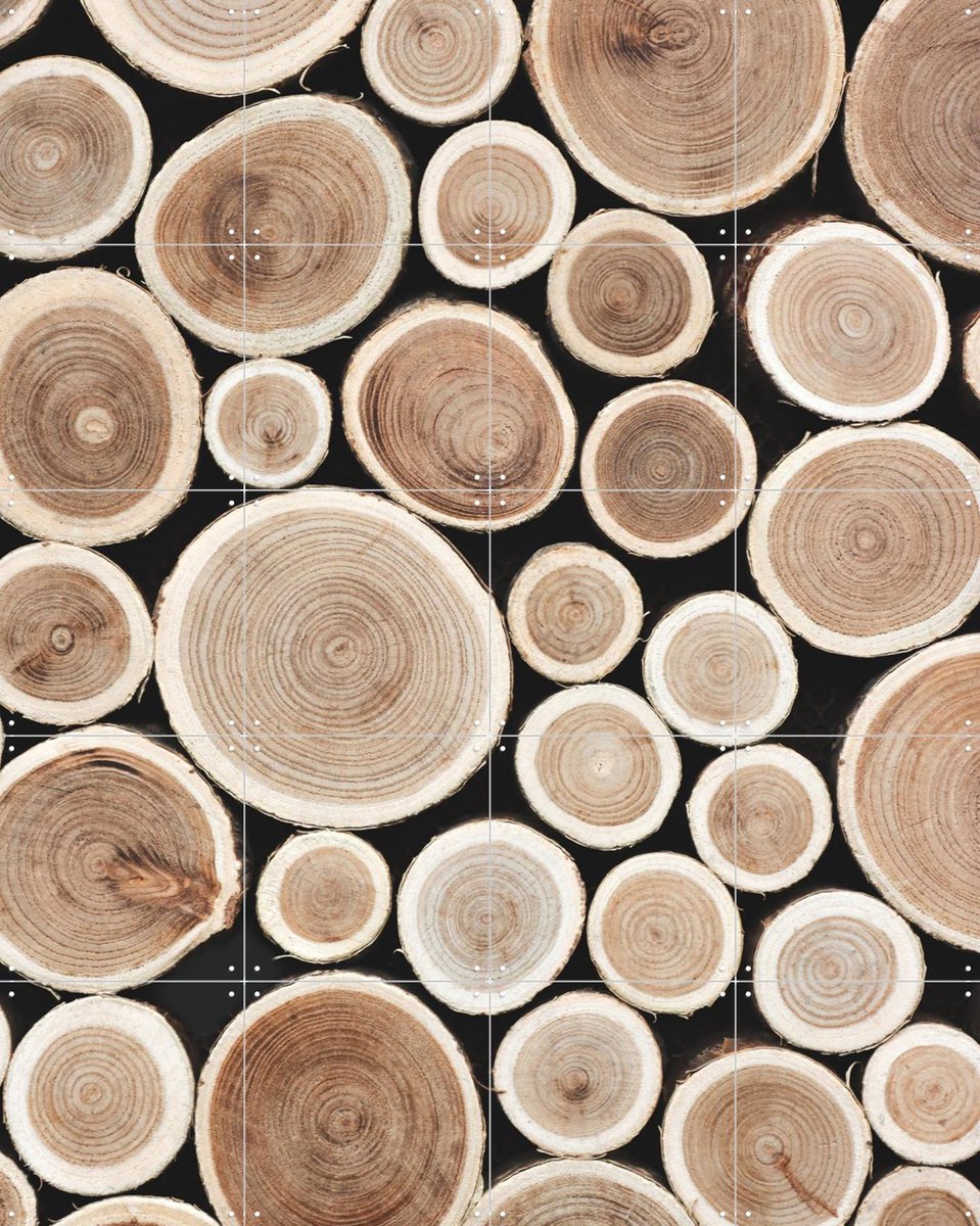 IXXI Cut Timber, Ingrid Beddoes - 80 x 100 cm - Gratis ophangtool - Grote wanddecoratie en posters - Naturalisme, Fotografie, Woonkamer, Slaapkamer