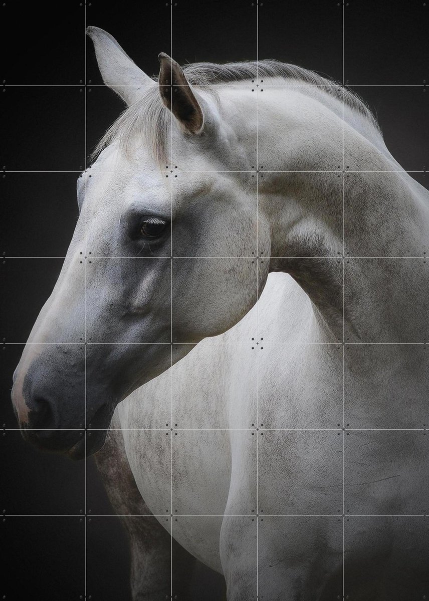 IXXI Maggie, Avishai Avivi & Various - 100 x 140 cm - Gratis ophangtool - Grote wanddecoratie en posters - Fotografie, Realisme, Slaapkamer