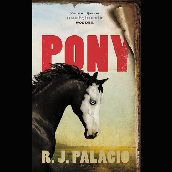 Boekcover van "PONY" door R. J. Palacio, met een paard met een witte bles en blauwe ogen.