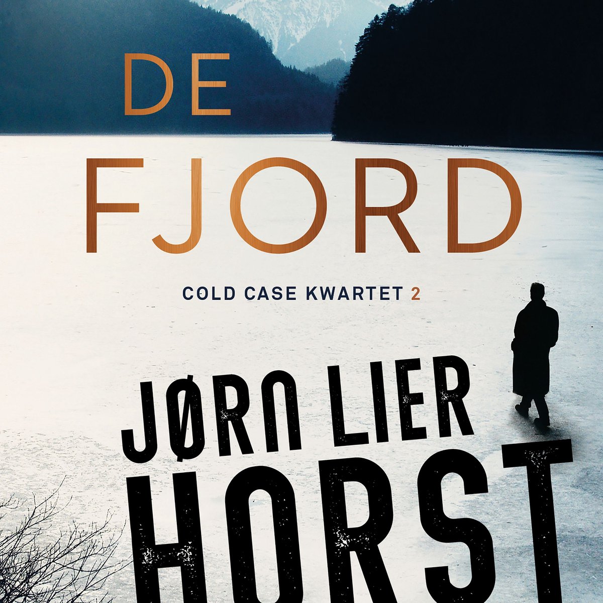 Omslag van De fjord