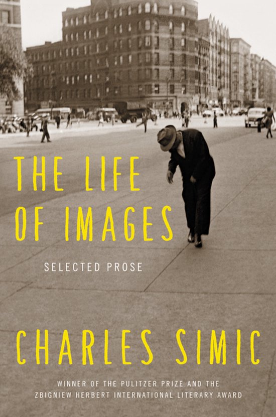 Life Of Images - cover