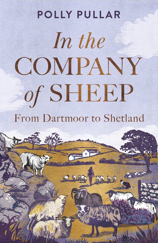 In the Company of Sheep - cover