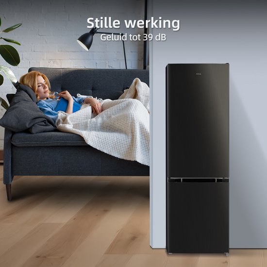 Zwarte koelkast in een woonkamer met een slapende vrouw op de bank, naast een plant.