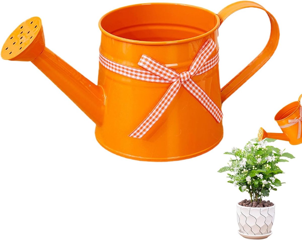 Kleine Metalen Gieter - Waterpot Sproeier - Planten Water Geven - Met Afneembare Sproeikop