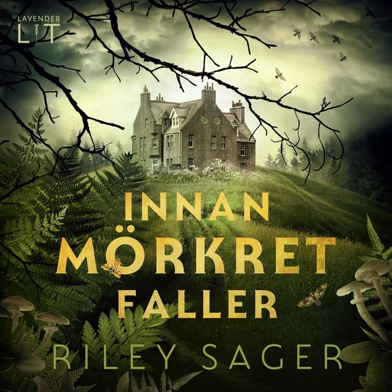 Innan mörkret faller - cover