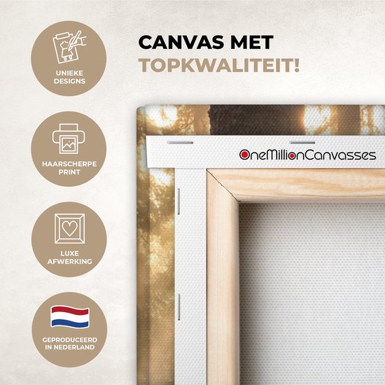 Canvas met topkwaliteit. Unieke designs, haarscherpe print, luxe afwerking, geproduceerd in Nederland.