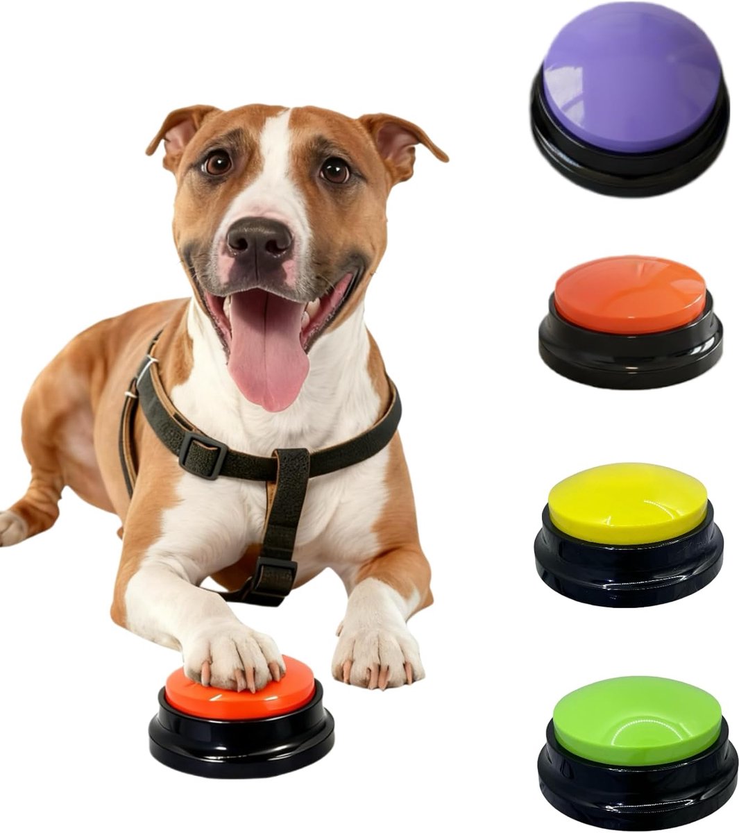 Hondenknoppen Set - Communicatie Knoppen - Huisdier Training - Opneembaar Geluid - 8.76cm Diameter - Multicolor