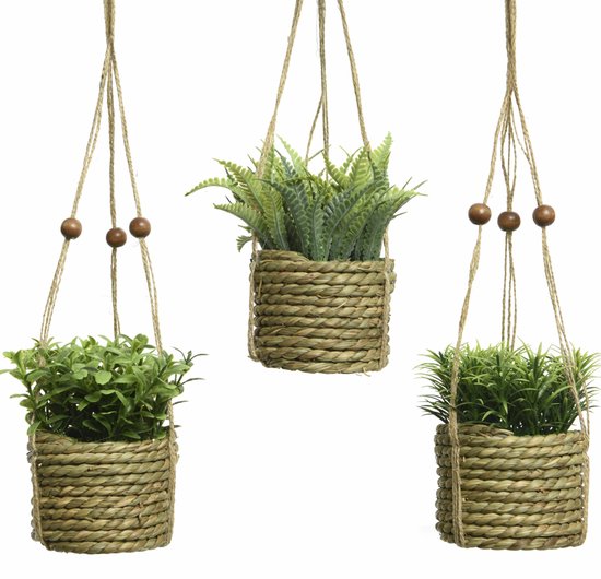 Trois plantes suspendues avec des paniers tressés et des perles en bois, une avec des feuilles de fougère, deux avec de l'herbe.
