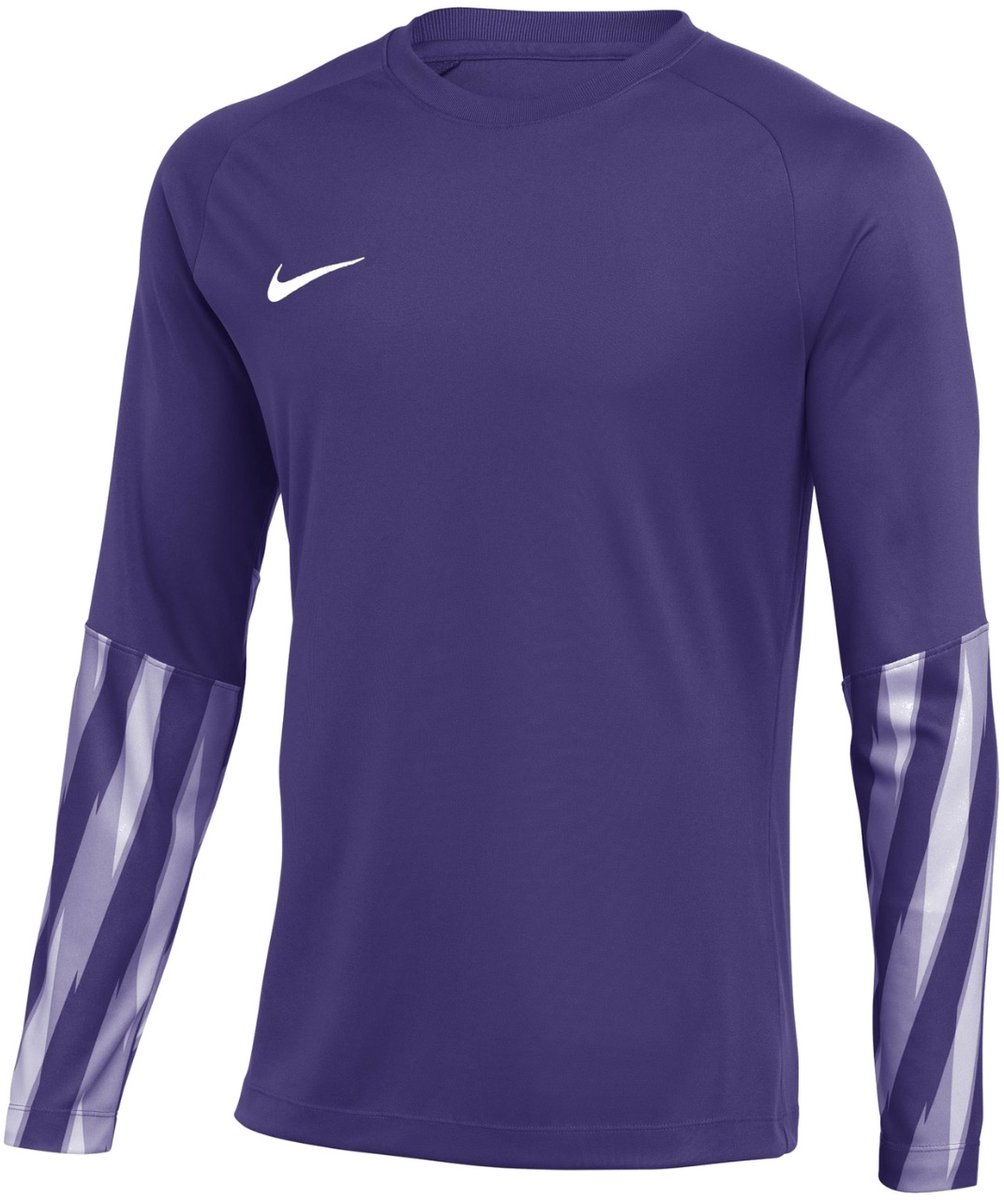 Nike Team Sweater Heren Dri-FIT Park V Stadium Paars - Maat L