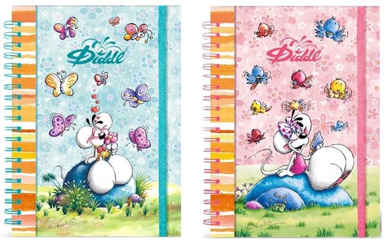 Diddl - notitie boek met glitter - elastieke band - briefkaart formaat A5 - Diddl en Diddlina